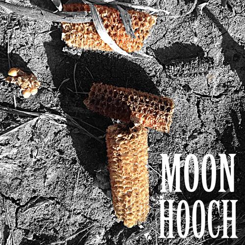 Moon Zooz, Pt. 2 Official TikTok Music | album by Moon Hooch-Too Many ...