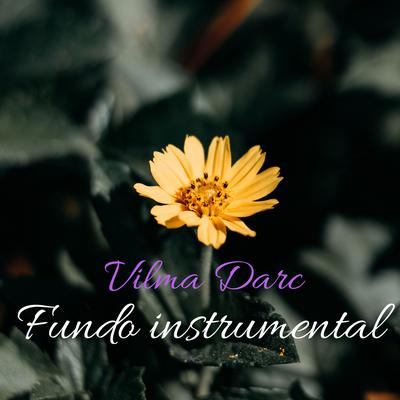 Fundo Instrumental's cover