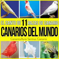 Sonido y Cantos de Pajaros's avatar cover