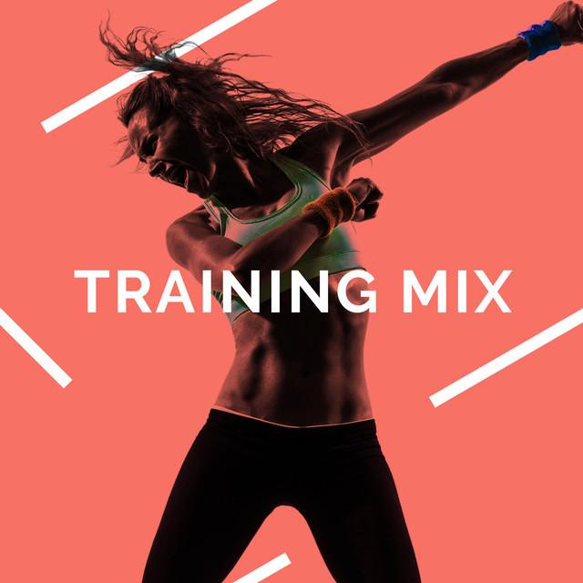 Training Mix's avatar image