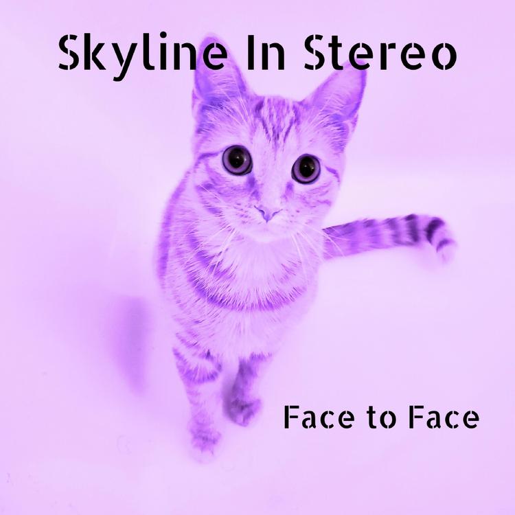 Skyline in Stereo's avatar image