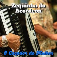 Zequinha do Acordeon's avatar cover
