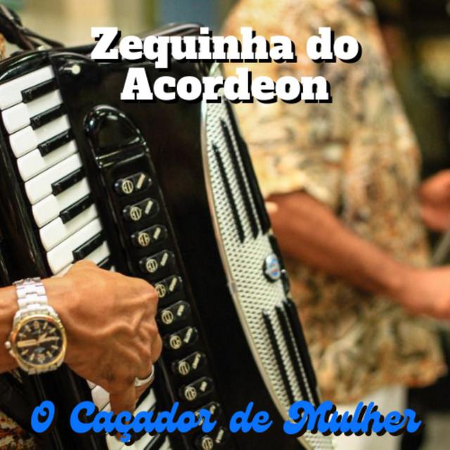 Zequinha do Acordeon's avatar image