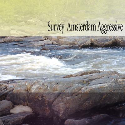 Survey Amsterdam Aggressive's cover