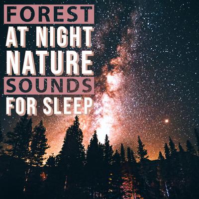 Forest at Night - Nature Sounds for Sleep's cover
