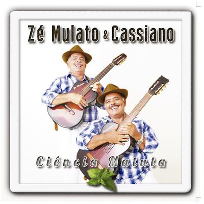 Destino de Violeiro By Zé Mulato & Cassiano's cover