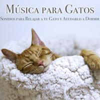 Pet Music Therapy's avatar cover