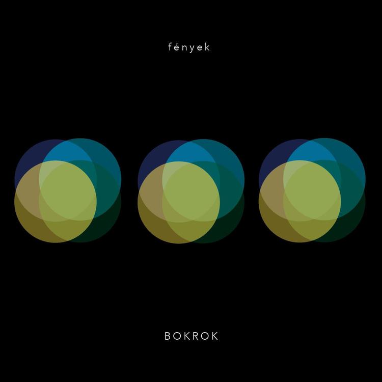 Bokrok's avatar image