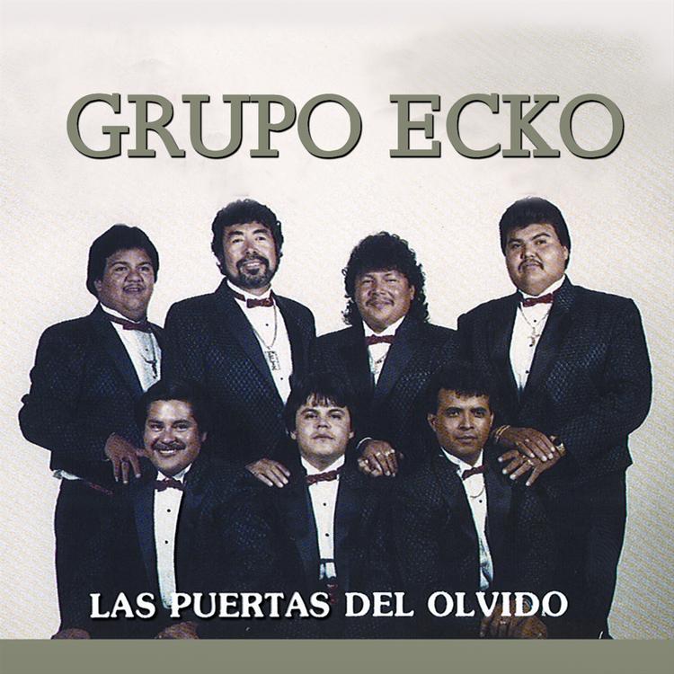 Grupo Ecko's avatar image