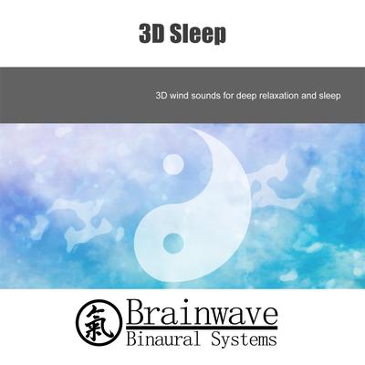 3d Sleep By Brainwave Binaural Systems's cover