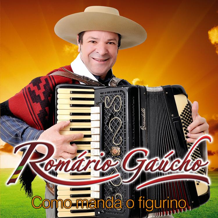 Romário Gaúcho's avatar image