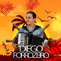 diego forrozeiro's avatar cover