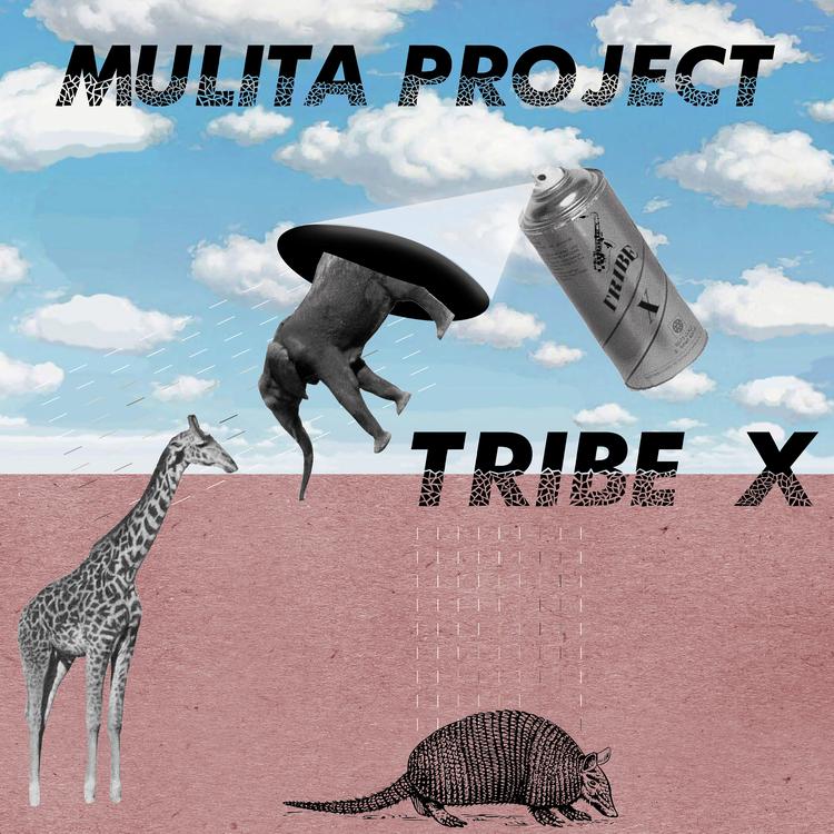 Mulita Project's avatar image