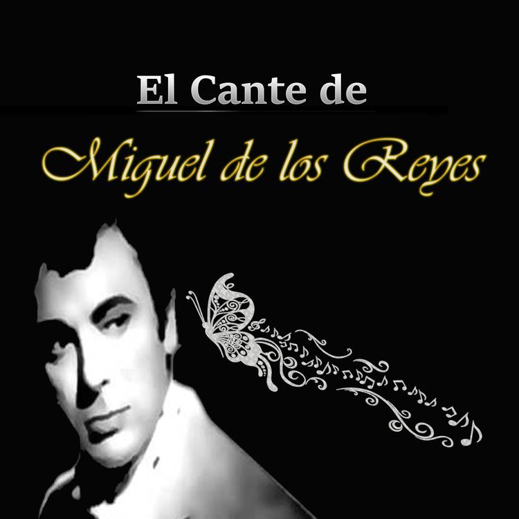 Miguel de los Reyes's avatar image