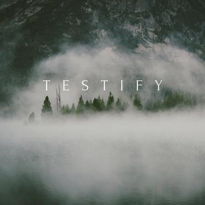 Testify's cover