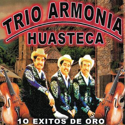 Los Matlachines de Hidalgo By Trio Armonia Huasteca's cover