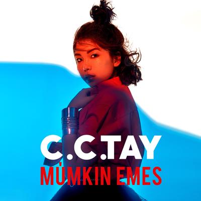 Mumkin emes By C.C.TAY's cover