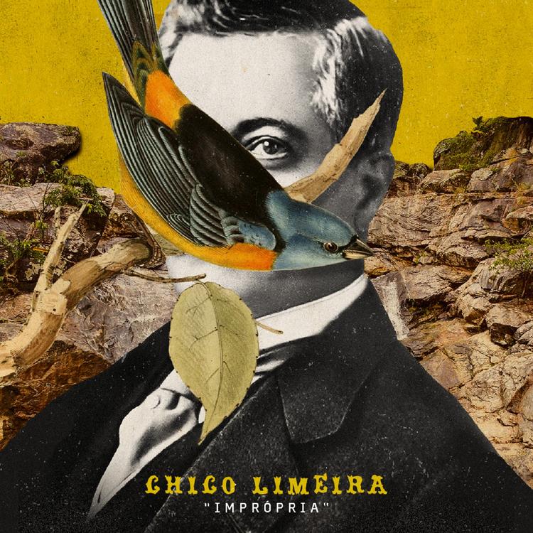 Chico Limeira's avatar image