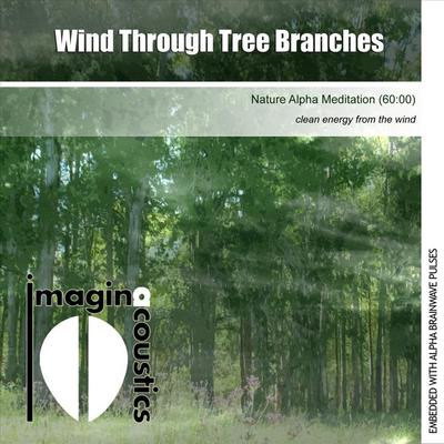 Wind Through Tree Branches (Nature Alpha Meditation) By Imaginacoustics's cover