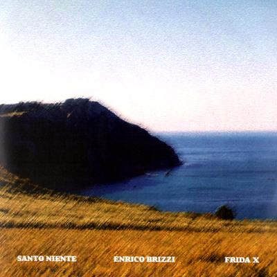 Enrico Brizzi's cover