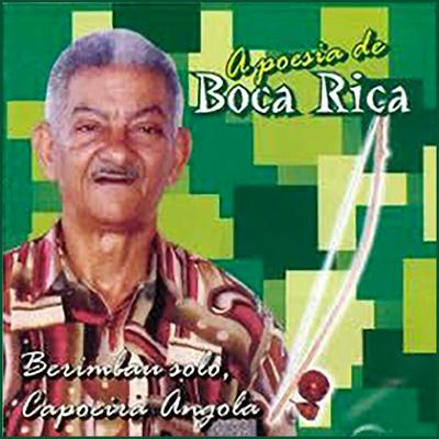 Andei o Brasil Inteiro By Boca Rica's cover