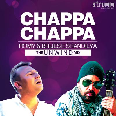 Chappa Chappa - Single's cover