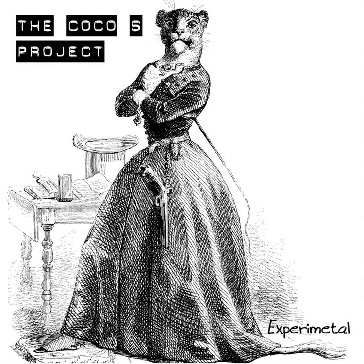 The Coco's Project's avatar image