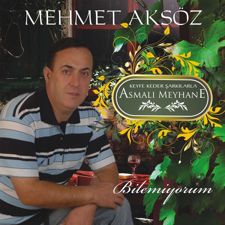 Mehmet Aksöz's avatar image