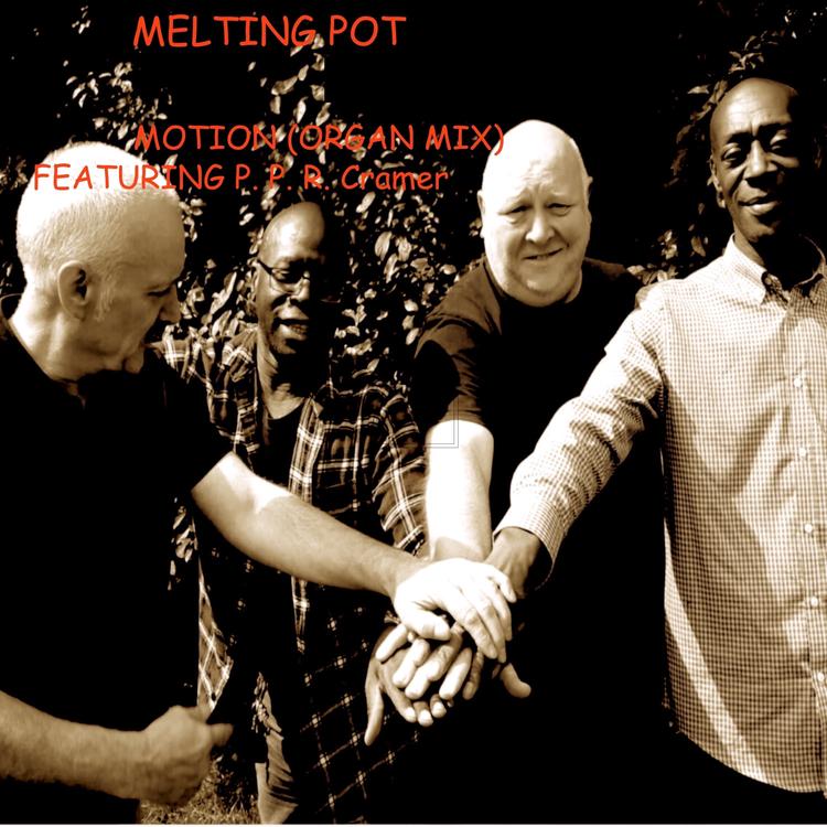 MELTING POT's avatar image