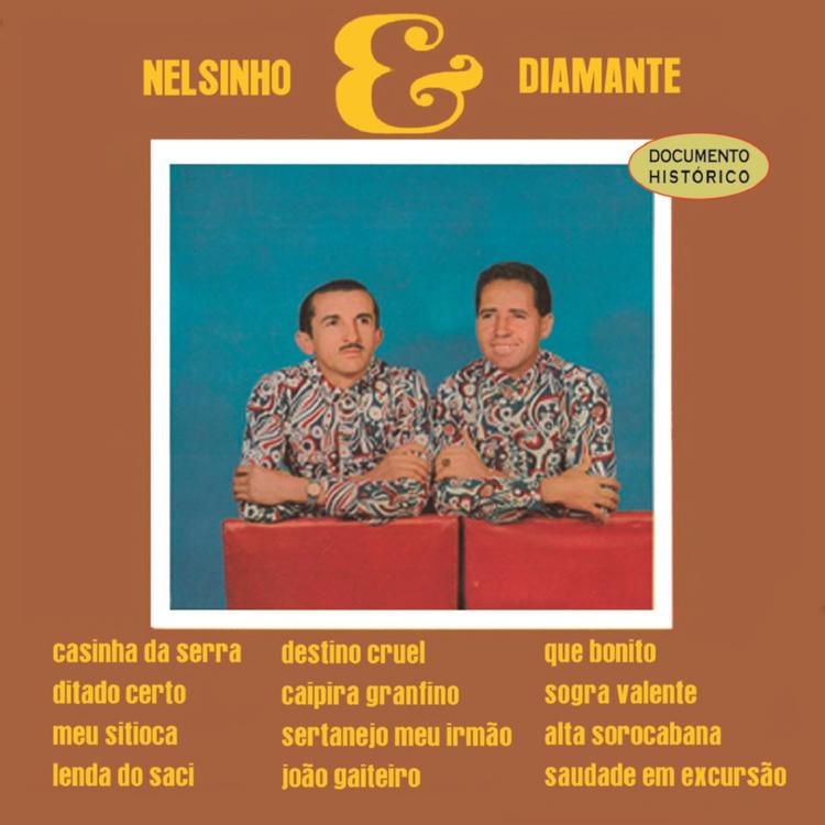 Nelsinho e Diamante's avatar image