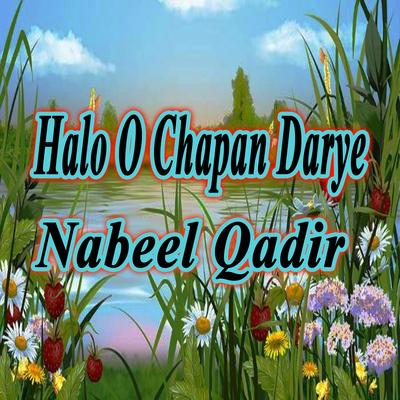 Nabeel Qadir's cover