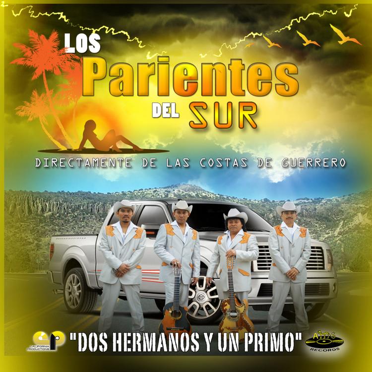 Los Parientes del Sur's avatar image