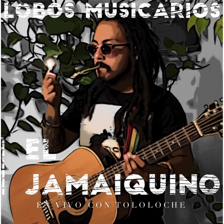 Lobos Musicarios's avatar image