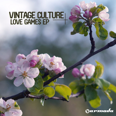 Love Games (Radio Edit) By Thomaz Krauze, TKWonder, Vintage Culture's cover