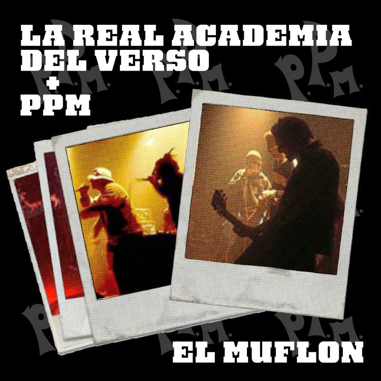 La Real Academia del Verso's avatar image