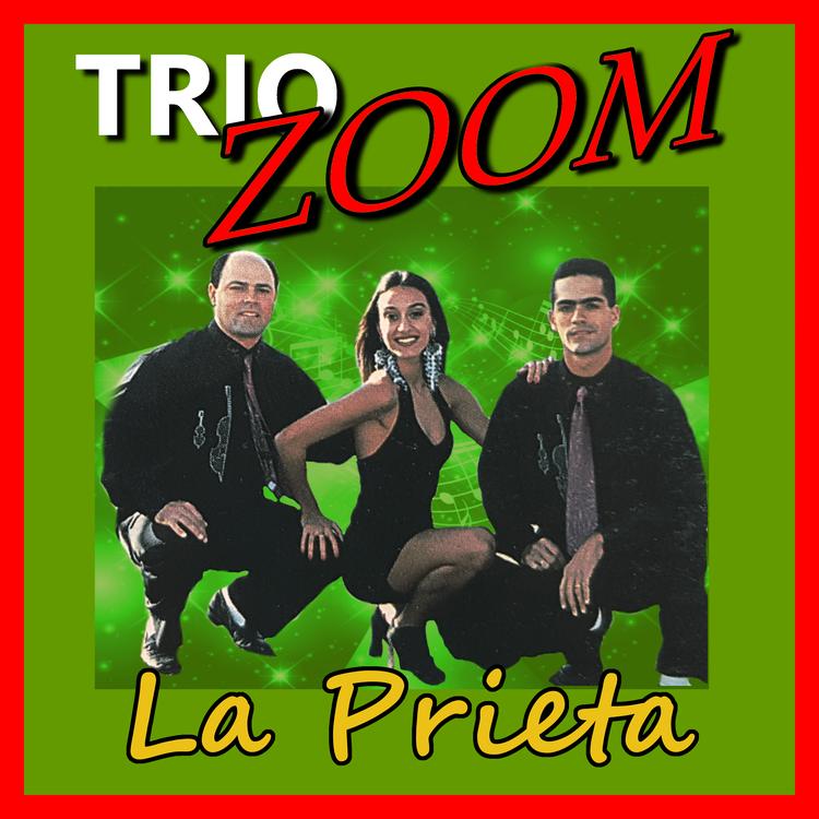 Trio Zoom's avatar image