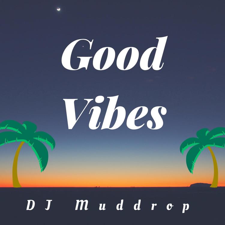 DJ Muddrop's avatar image
