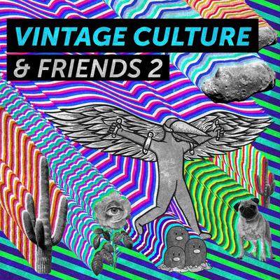 Vintage Culture & Friends 2's cover