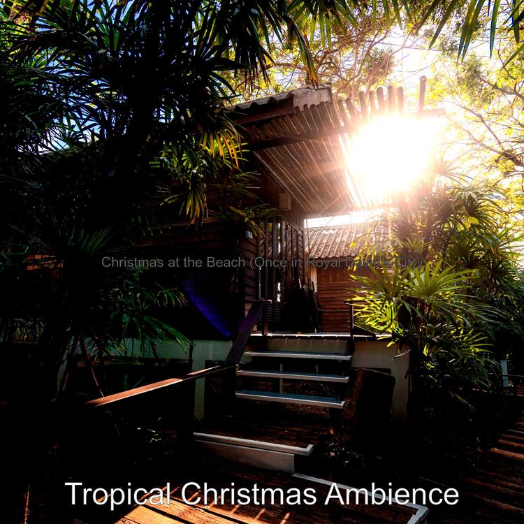 Tropical Christmas Ambience's avatar image