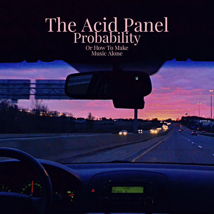 The Acid Panel's avatar image