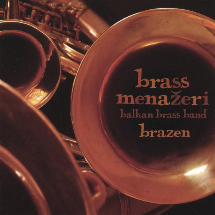 Brass Menažeri Balkan brass band's avatar image