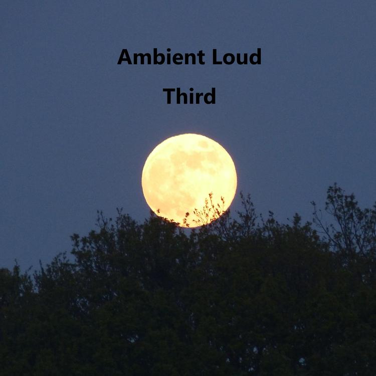 Ambient Loud's avatar image