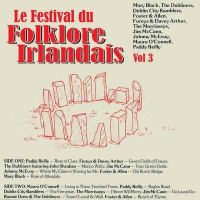 Le Festival du Folklore Irlandais, Vol. 3's cover