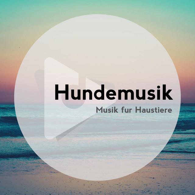 Hundemusik's avatar image