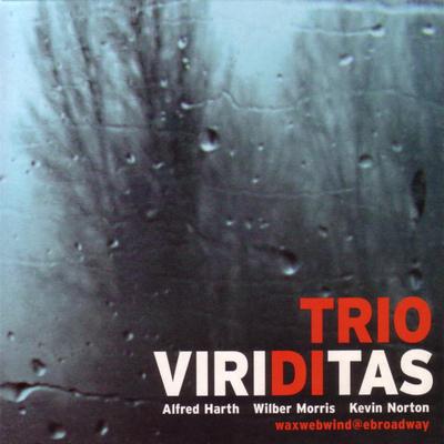 Interstice By Trio Viriditas's cover