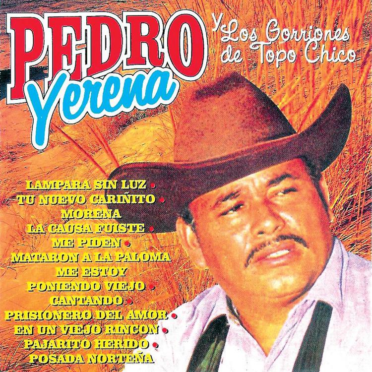 Pedro Yerena's avatar image