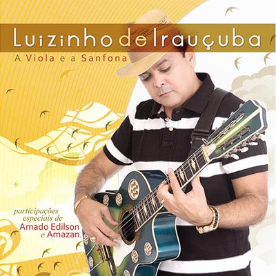 Amigo da Onça By Luizinho De Iraucuba, Amado Edilson's cover