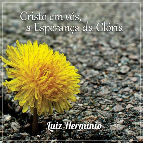 Luiz Hermínio – Pregações's cover