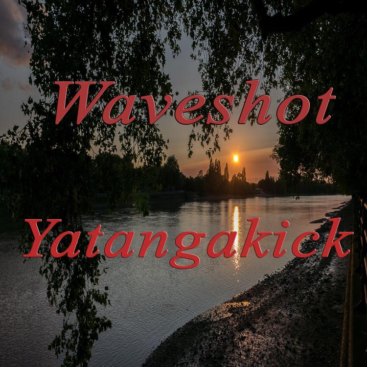 Waveshot's avatar image