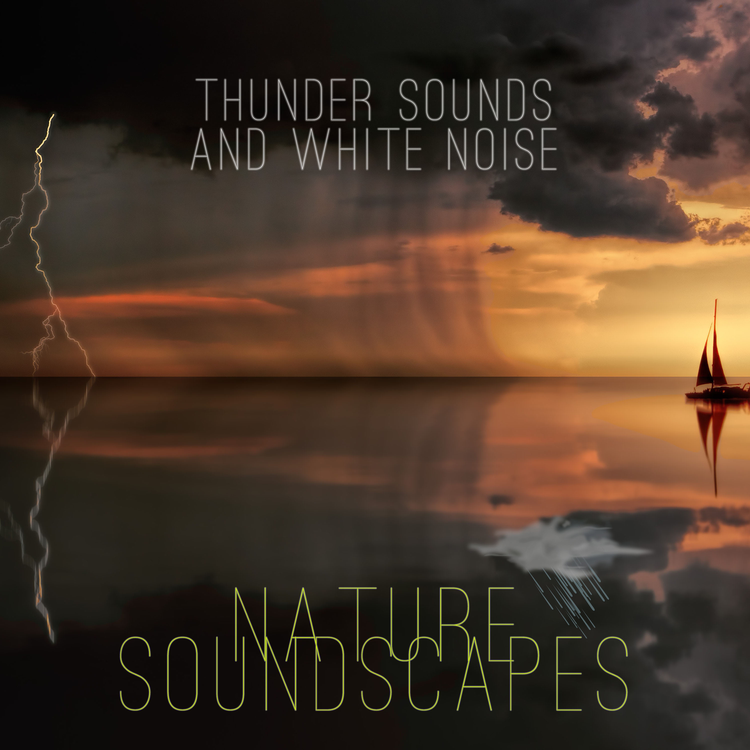 Nature Soundscapes's avatar image